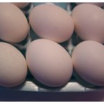 How to Hard Boil an Egg