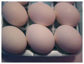 egg1