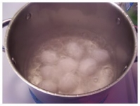 egg4
