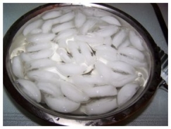 egg5
