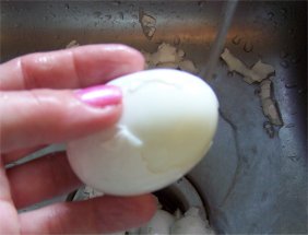 egg7