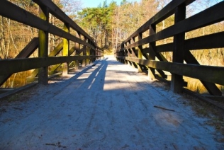 bridge1