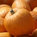pumpkin pudding 150x150 Desserts