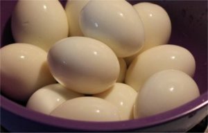 hard boiled eggs