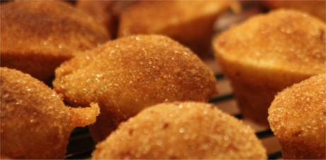 Pumpkin Pie Donut Muffins