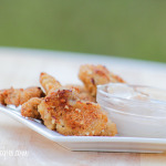 alex and duck nuggets 014 150x150 Condiments & Sauces