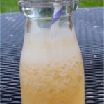 ugli fruit smoothie 150x150 Beverages