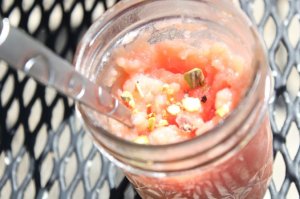 watermelon pudding