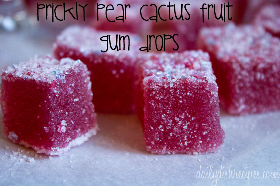 Prickly Pear Cactus Fruit Gum Drops Cactus Fruit | Prickly Pear Gum Drops