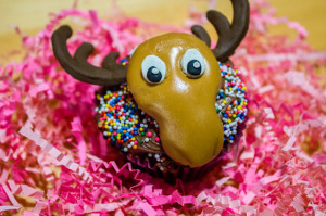 Chocolate Moosey Cupcake