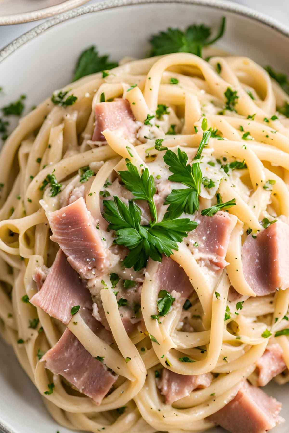 Instant Pot Ham and Noodles