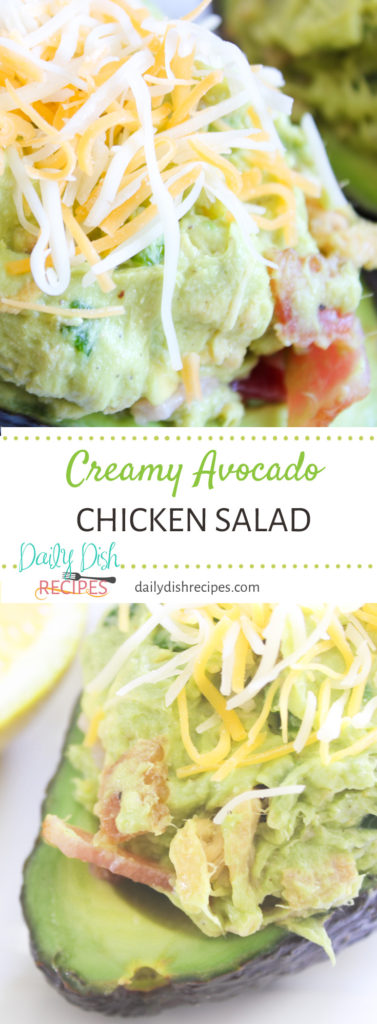 Creamy Avocado Chicken Salad | Daily Dish Recipes