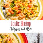 Garlic Shrimp Veggies and Rice