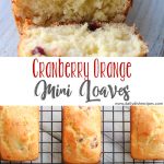 Cranberry Orange Mini Loaves