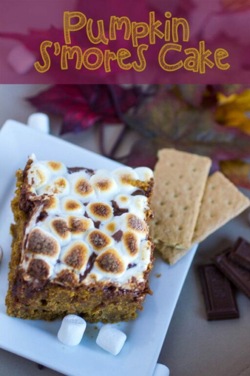 Pumpkin S’mores Cake