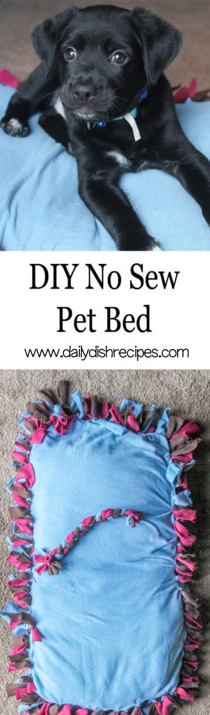 DIY No Sew Pet Bed
