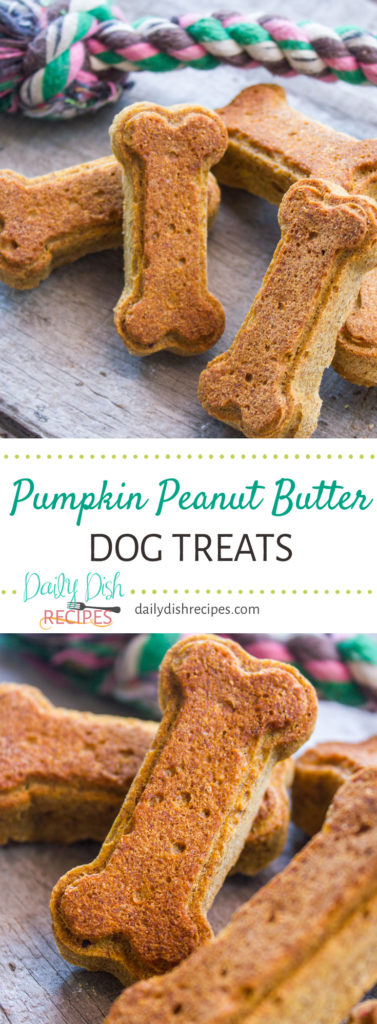 Pumpkin Peanut Butter Dog Treats | Healthy Treats For Your Best Friend