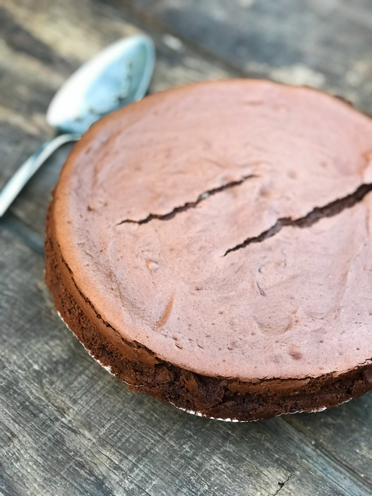 Chocolate Almond Cheesecake alone