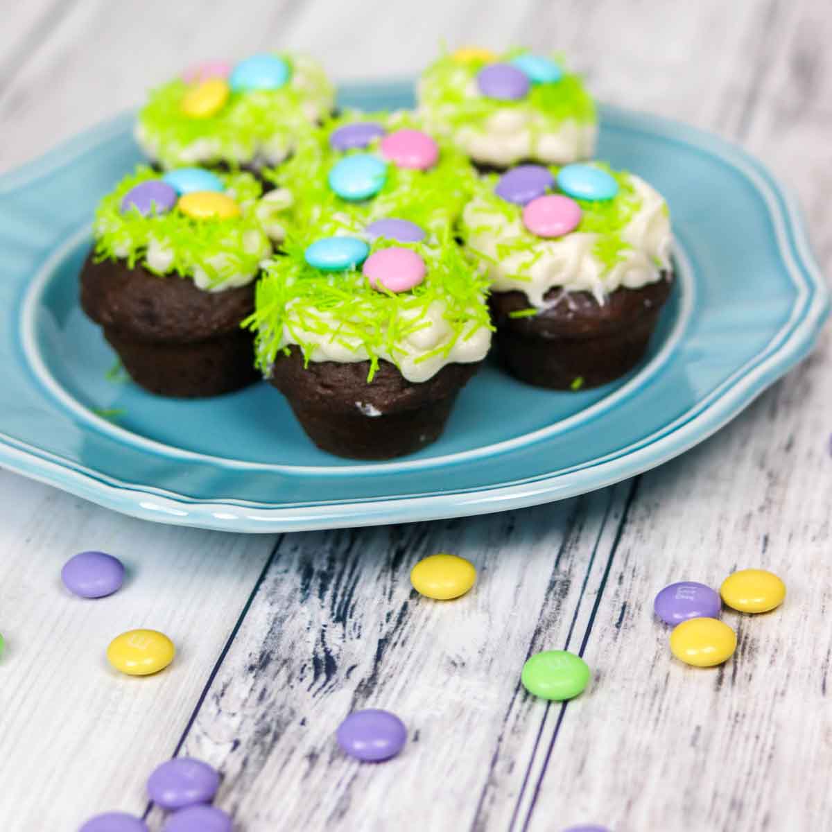 Mini Chocolate Rum Cupcakes with Butter Rum Frosting