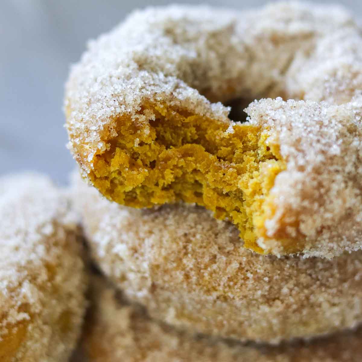 Pumpkin Ginger Donuts Featured Image