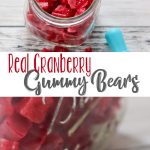 Real Cranberry Gummy Bears