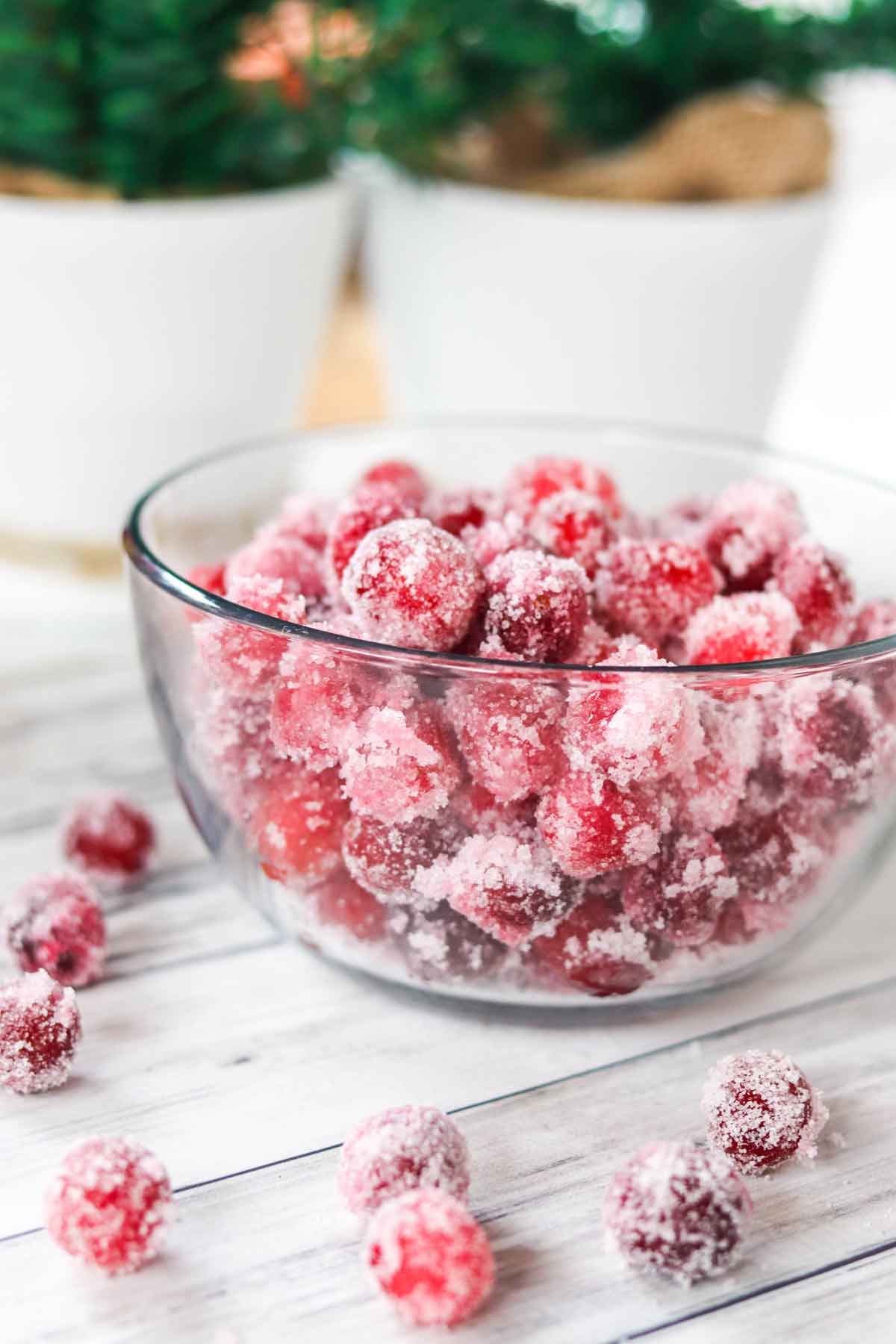 Sugared Cranberries in a glass bowl for drinks and cocktails
