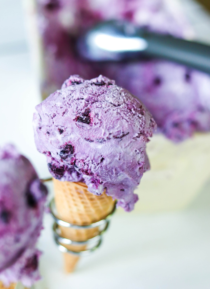 Roasted Blueberry Ice Cream