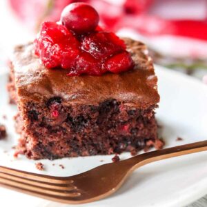 Cranberry Chocolate Chip Cake Featured Image