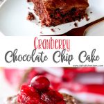 Cranberry Chocolate Chip Cake