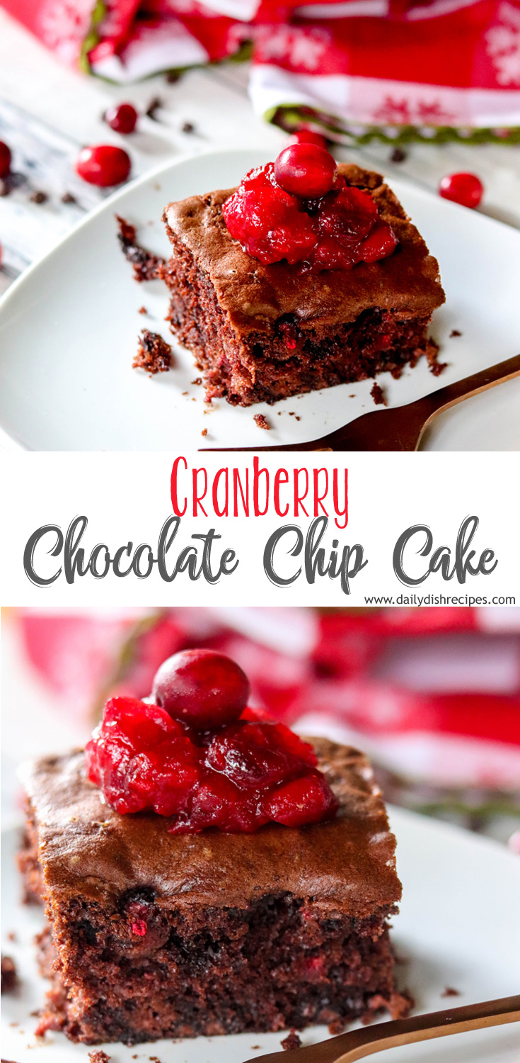 Cranberry Chocolate Chip Cake – Daily Dish Recipes