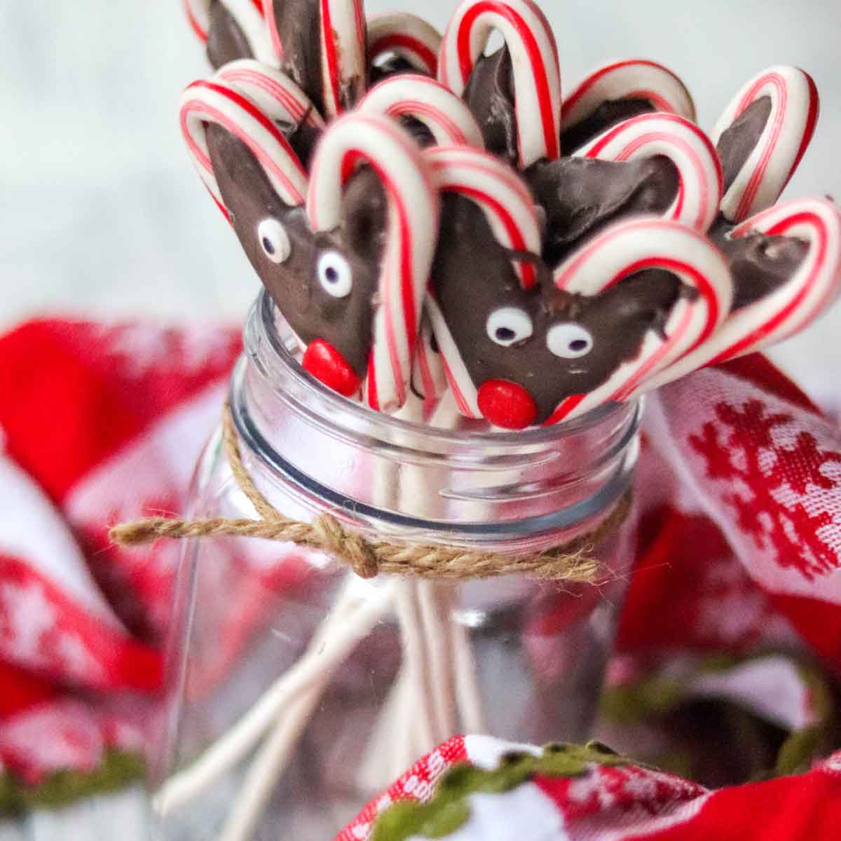 Reindeer Candy Cane Pudding Cups