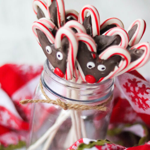  Reindeer Wieners Candy Wax Sticks- Funny Christmas