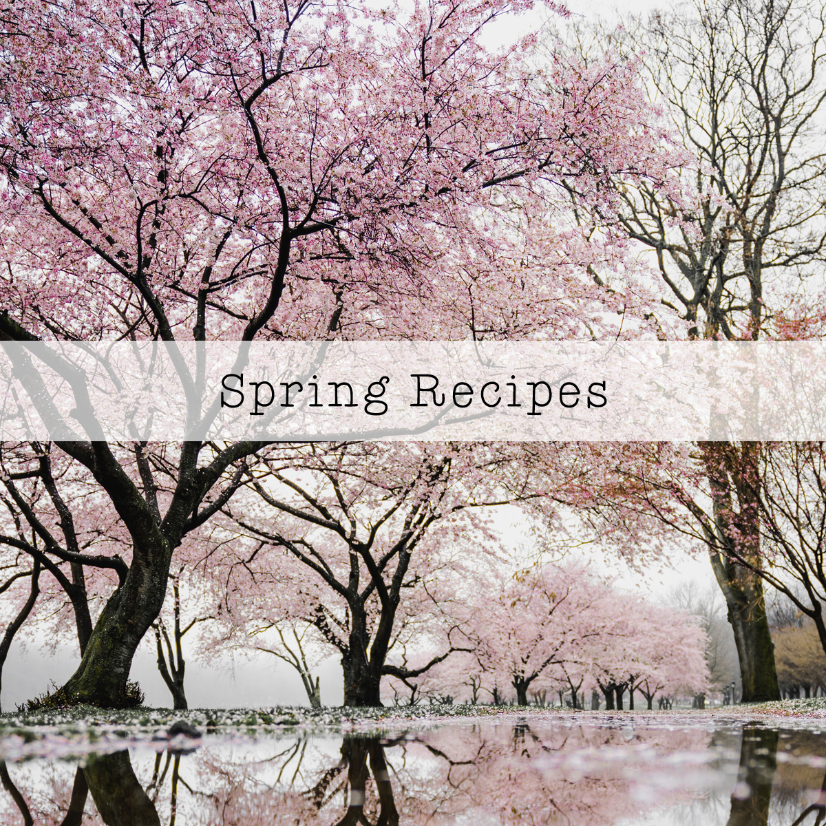 Spring Holiday Food Recipes