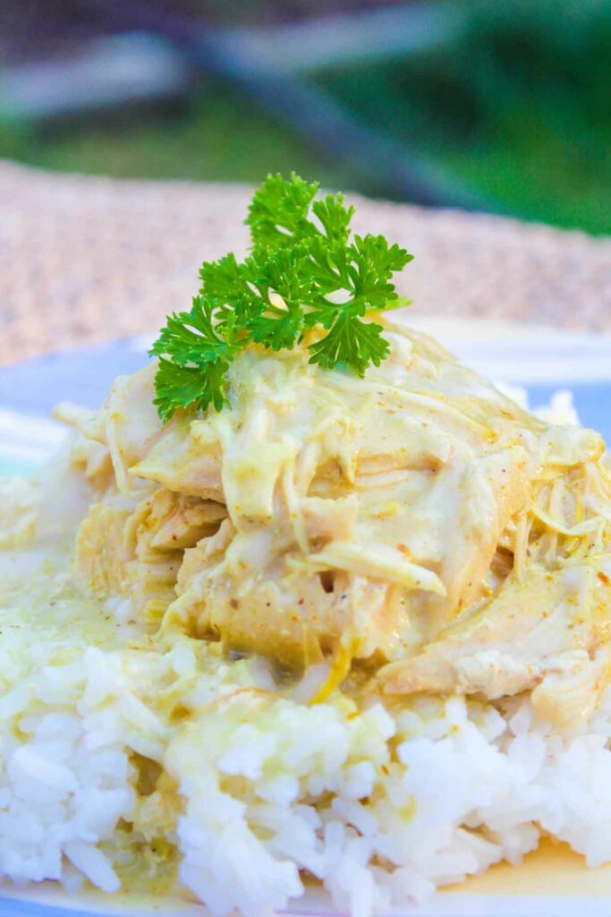 crockpot Curry chicken