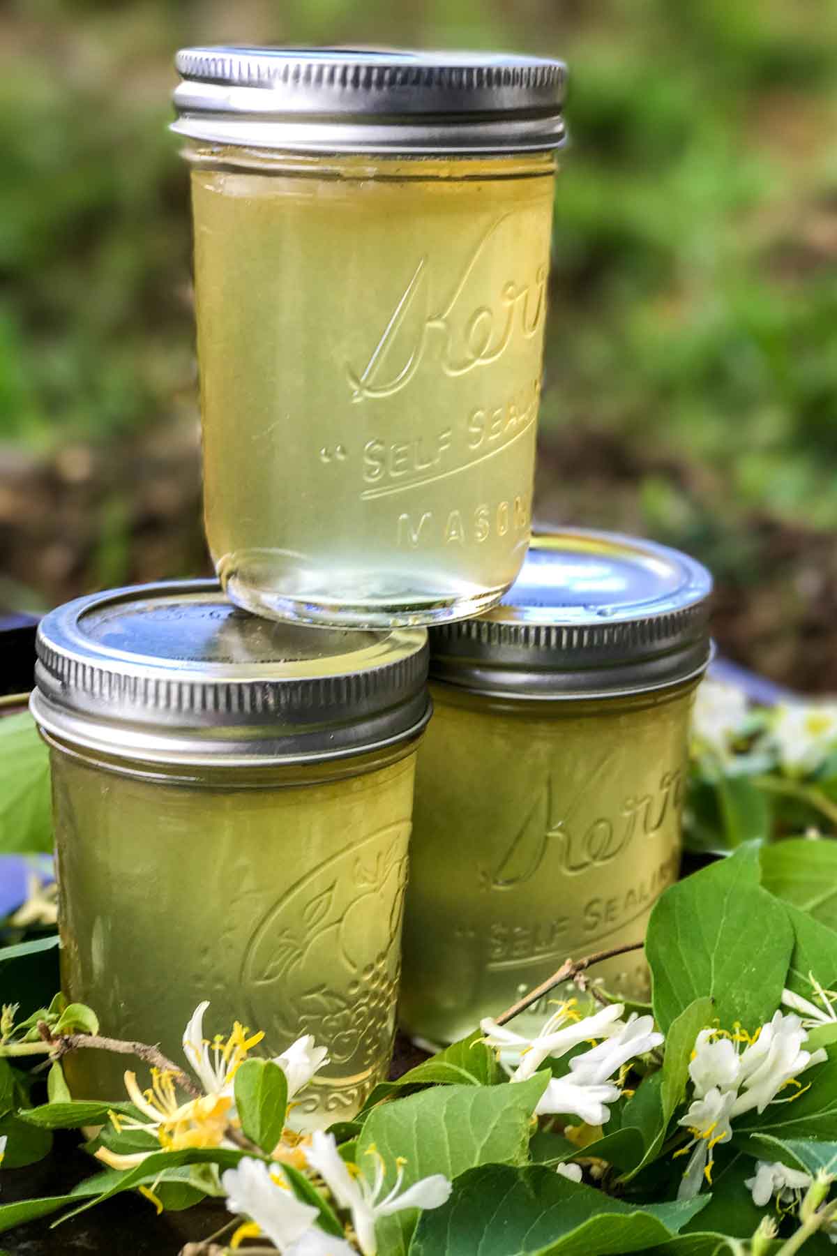 Three stacked jars of Honeysuckle Jelly with blossoms around them.