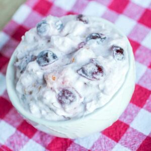 Easy Creamy Cranberry Ambrosia Salad Featured Image