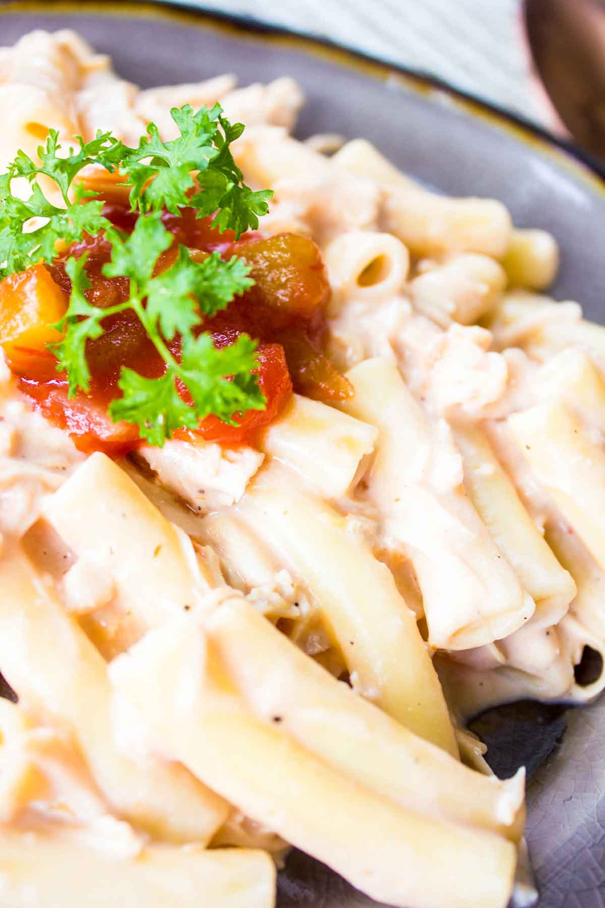 Easy Creamy Chicken Ziti extreme close up with salsa