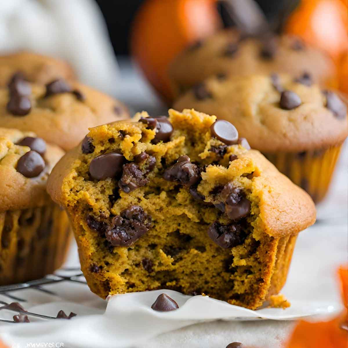 Pumpkin Chocolate Chip Muffins